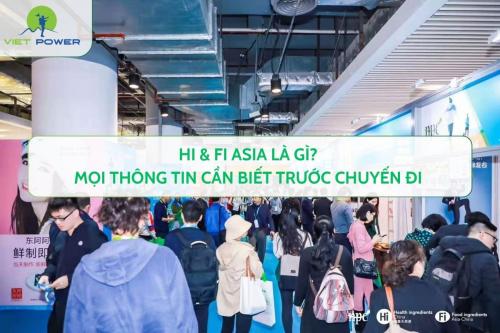 Hi & Fi Asia là gì? Mọi thông tin cần biết trước chuyến đi